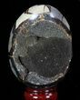 Septarian Dragon Egg Geode - Brown Crystals #88516-1